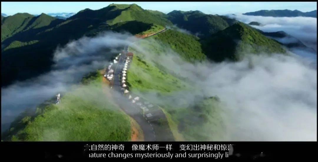 全民烧脑3去广告版